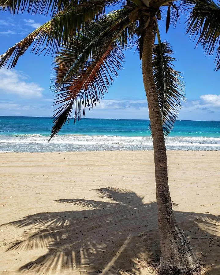 KASA Los Corales Studio for 2 POOL BEACH PARKING San Juan 0*,